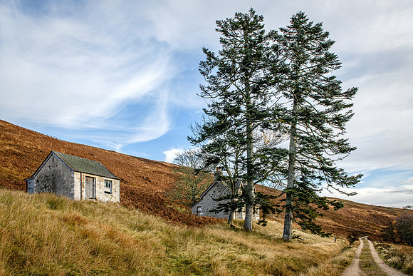 201107 Craggie 056