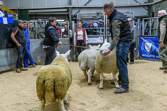 220916 NCC Quoybrae 156