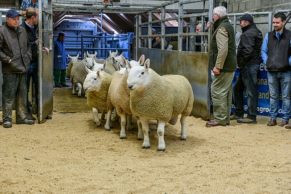 220916 NCC Quoybrae 094