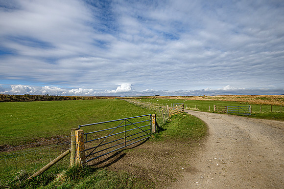 210517 Dalemore 067