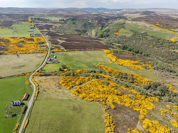 250510 Dunbeath 144