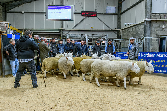 220916 NCC Quoybrae 047
