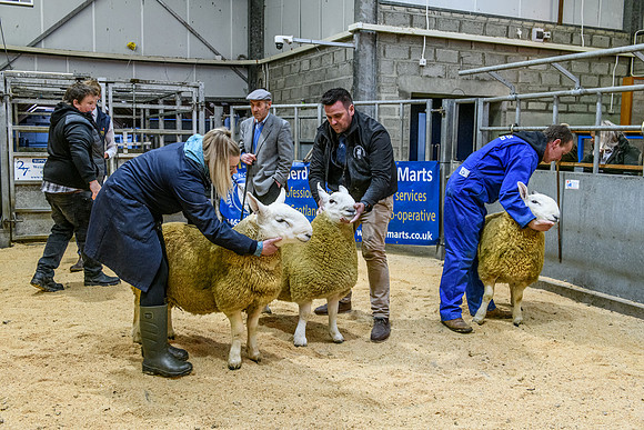 220916 NCC Quoybrae 025