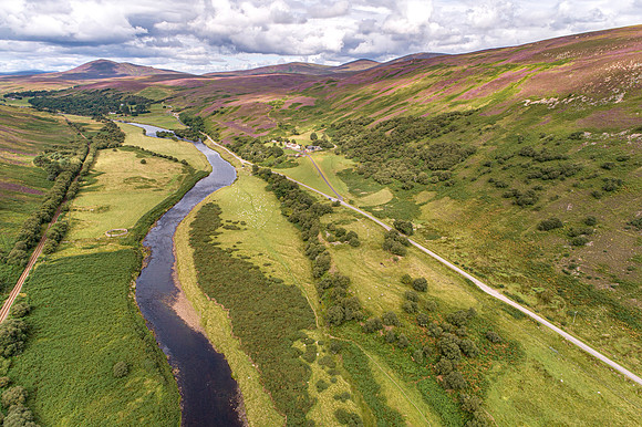 240820 Torrish 050