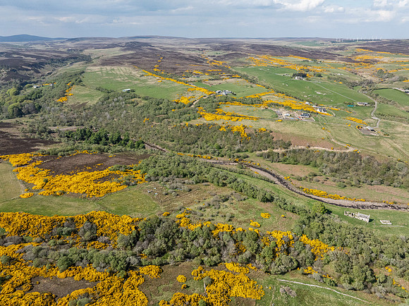 250510 Dunbeath 149