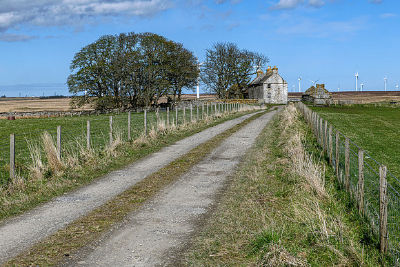210516 Dalemore 111