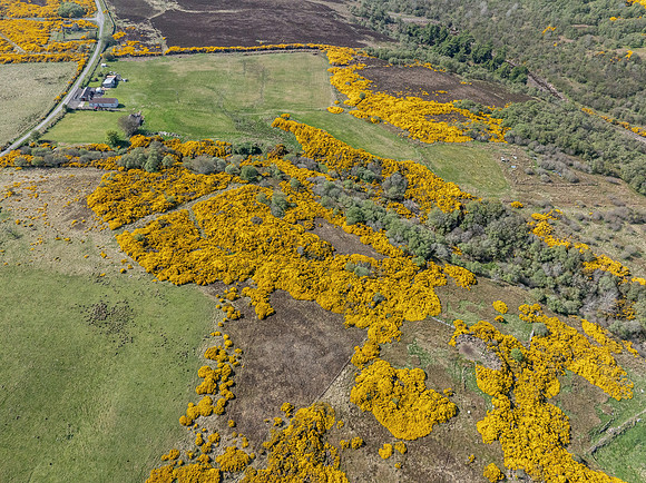 250510 Dunbeath 148