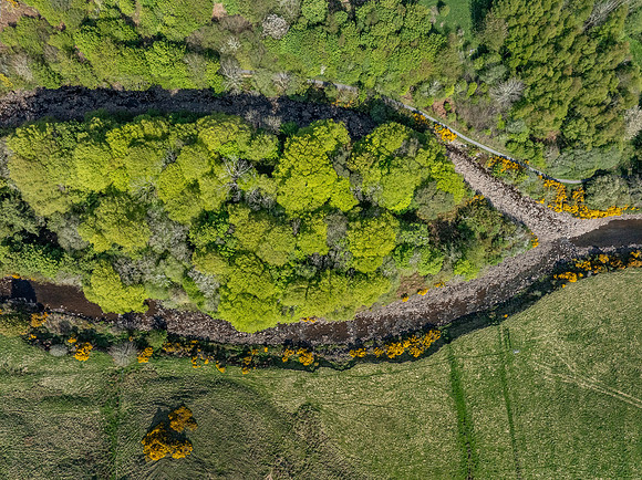 250510 Dunbeath 101