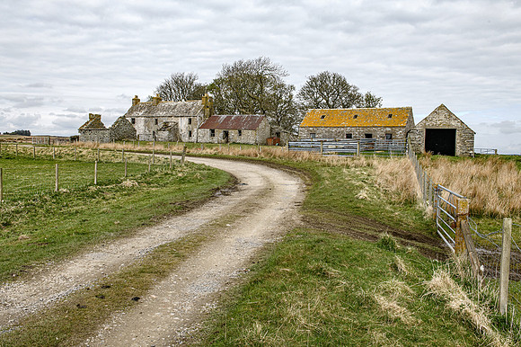 210517 Dalemore 086