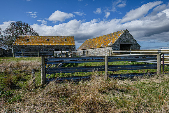 210516 Dalemore 057