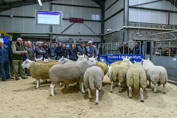 220916 NCC Quoybrae 055
