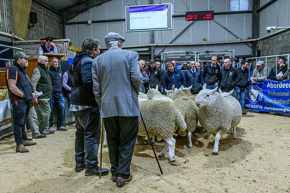 220916 NCC Quoybrae 076