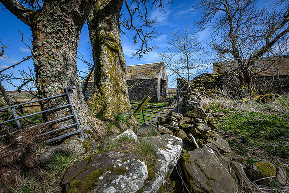 210516 Dalemore 042