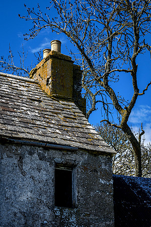 210516 Dalemore 087