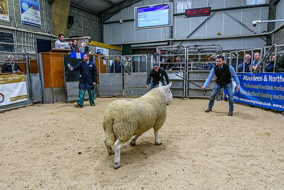 220916 NCC Quoybrae 227