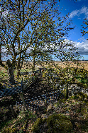 210516 Dalemore 041