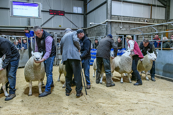 220916 NCC Quoybrae 134