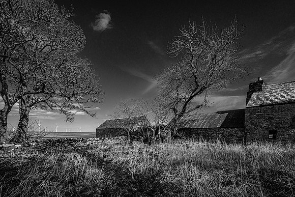 210516 Dalemore 037