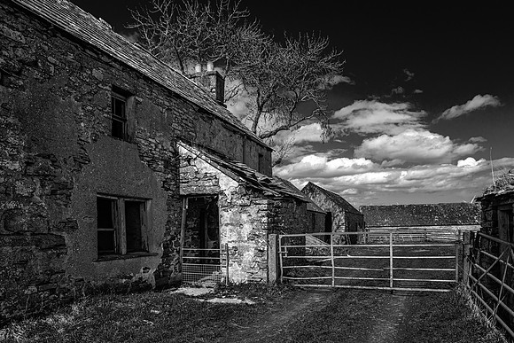 210516 Dalemore 080