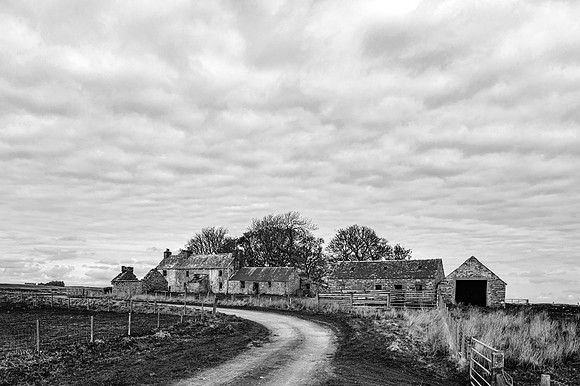 210517 Dalemore 088
