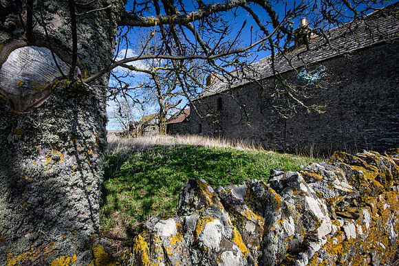 210516 Dalemore 012