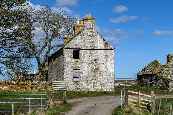 210516 Dalemore 102