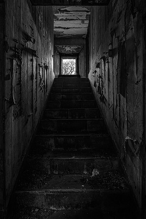 210517 Dalemore 096