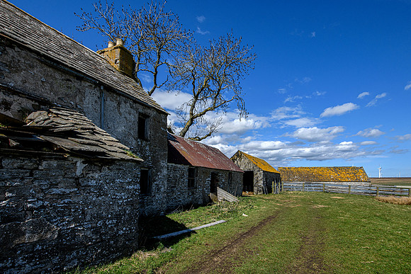 210516 Dalemore 017