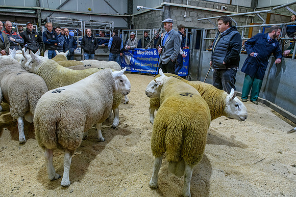 220916 NCC Quoybrae 060