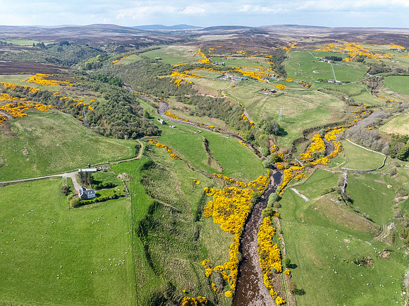 250510 Dunbeath 109
