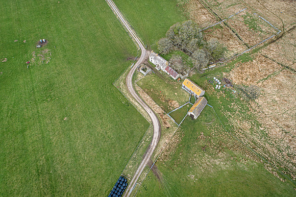 210517 Dalemore 042
