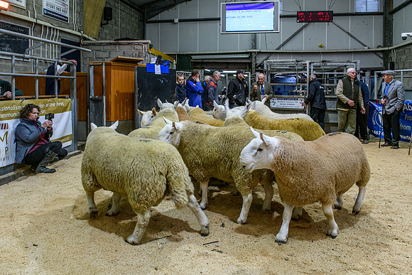 220916 NCC Quoybrae 033