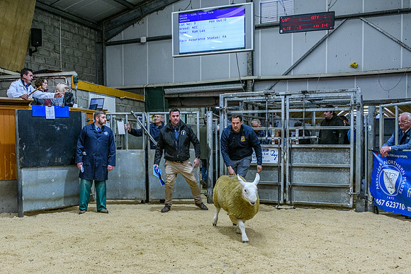 220916 NCC Quoybrae 213