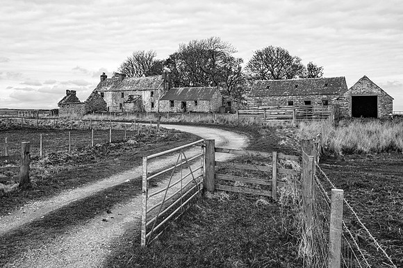 210517 Dalemore 084