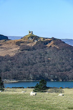 220321 Tongue 022