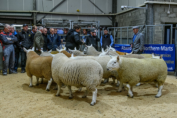 220916 NCC Quoybrae 044