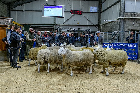 220916 NCC Quoybrae 050
