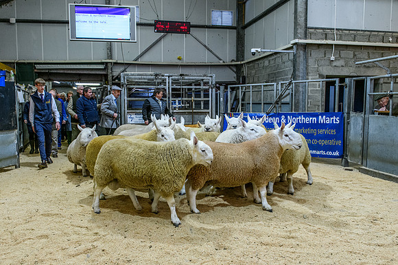 220916 NCC Quoybrae 029