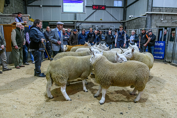 220916 NCC Quoybrae 079