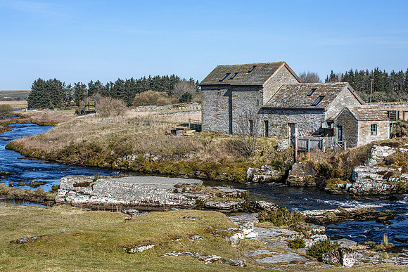 220319 Westerdale 026