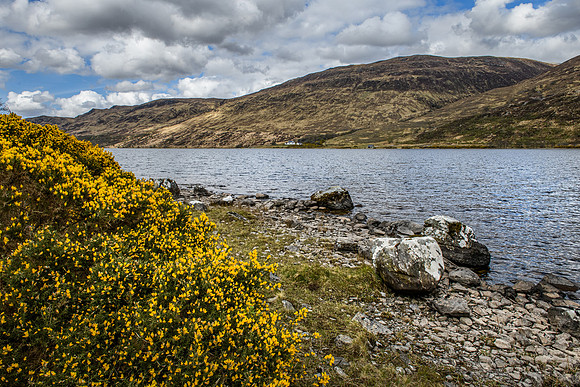 220427 Kinlochbervie 079