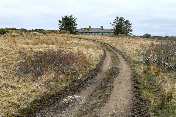 220326 Benny's Croft 001