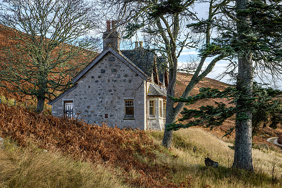 201107 Craggie 064