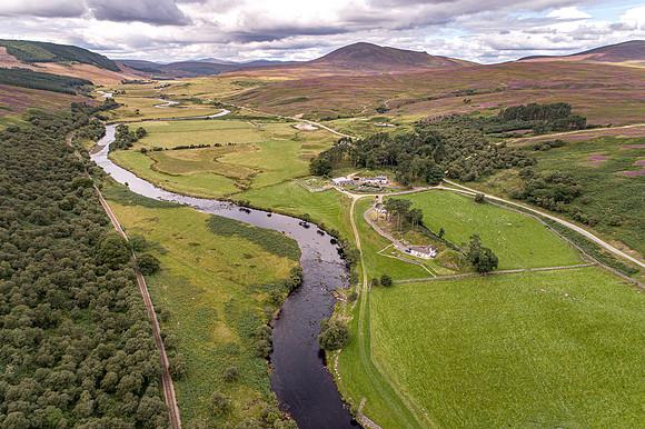 240820 Torrish 118