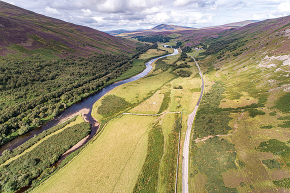 240820 Torrish 013