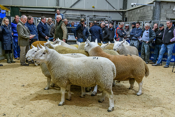220916 NCC Quoybrae 089