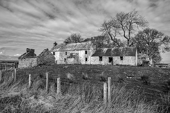 210517 Dalemore 059