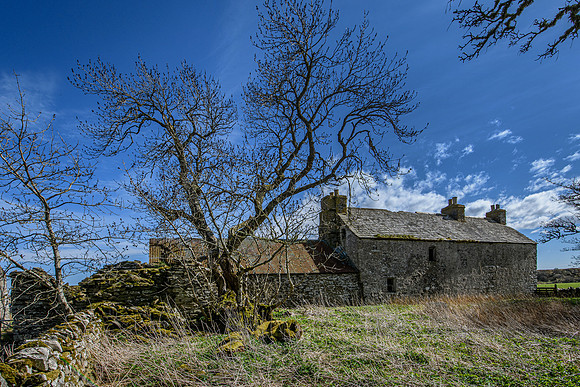 210516 Dalemore 044