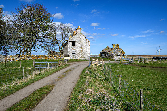 210516 Dalemore 060