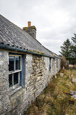 220326 Benny's Croft 010